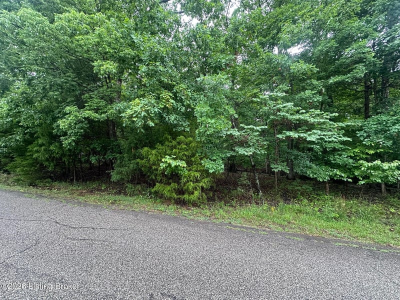 Lot 40 Red Wing Rd, Doe Valley, KY 40108