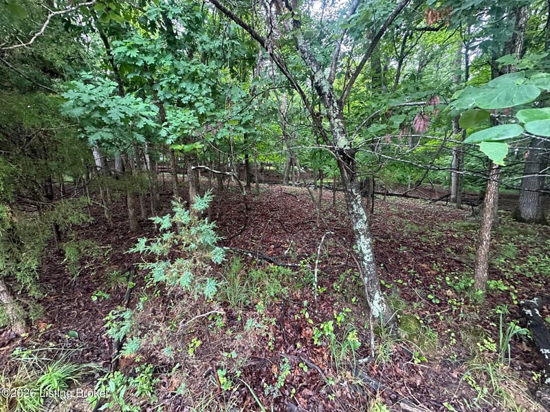 Lot 40 Red Wing Rd, Doe Valley, KY 40108