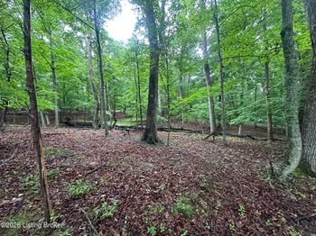 Lot 40 Red Wing Rd, Doe Valley, KY 40108