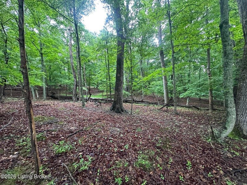 Lot 40 Red Wing Rd, Doe Valley, KY 40108