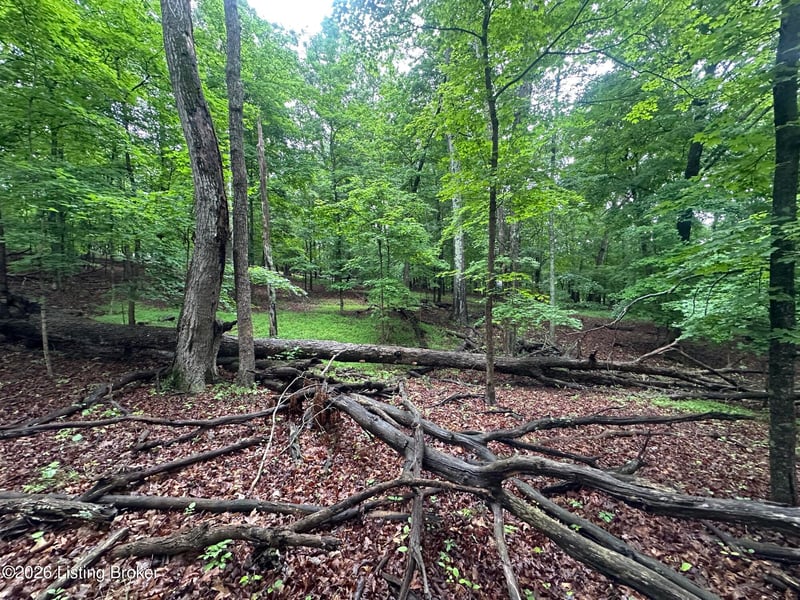 Lot 40 Red Wing Rd, Doe Valley, KY 40108