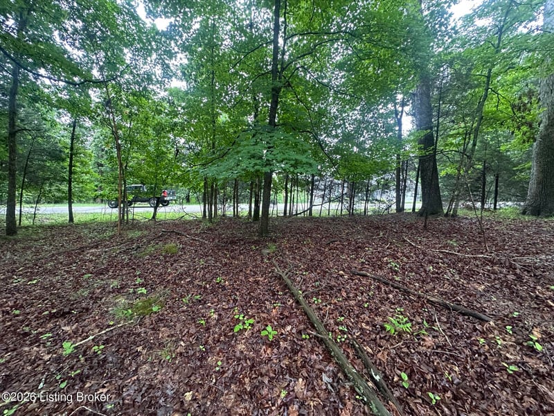 Lot 40 Red Wing Rd, Doe Valley, KY 40108
