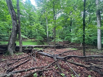 Lot 40 Red Wing Rd, Doe Valley, KY 40108