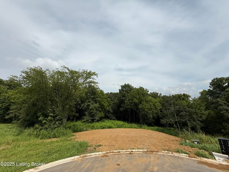 Lot 44 Eagle Vista Est, Fisherville, KY 40023