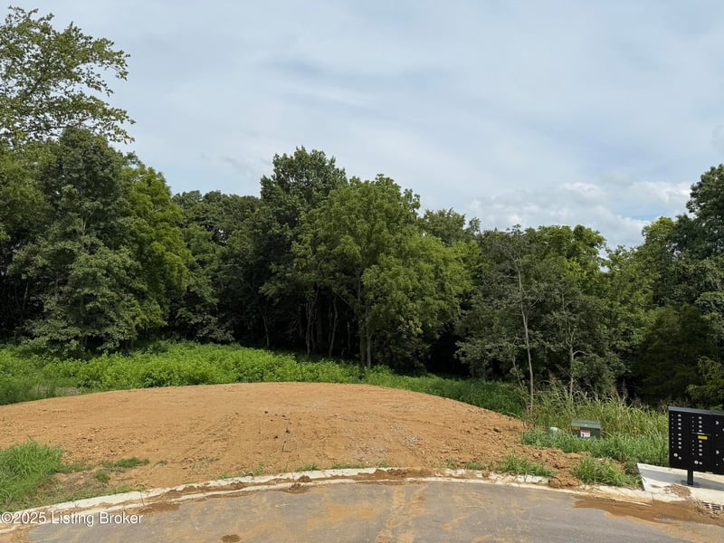 Lot 44 Eagle Vista Est, Fisherville, KY 40023