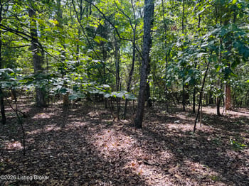 LOT 50-51 Rams Rn, Shepherdsville, KY 40165