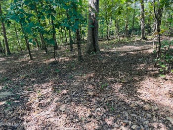 Lot 52 Rams Rn, Shepherdsville, KY 40165