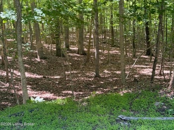 Lot 569 Raspberry Ct, Brandenburg, KY 40108