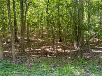 Lot 569 Raspberry Ct, Brandenburg, KY 40108