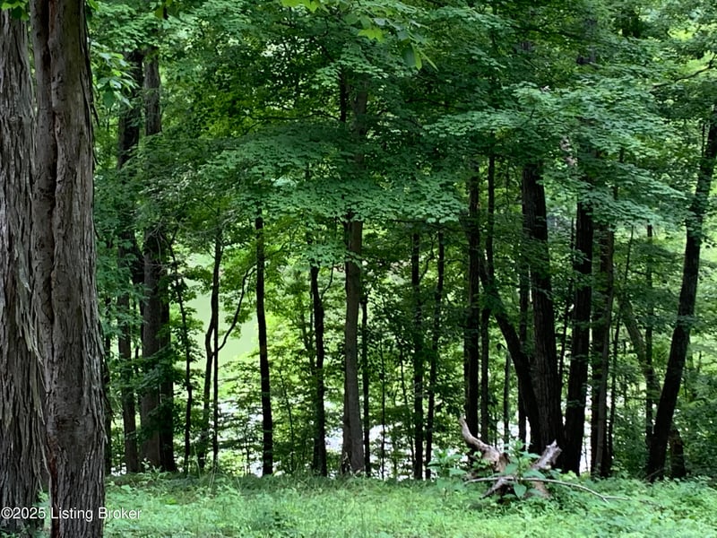 Lot 58 Lake Forest Shores Dr, Westview, KY 40178