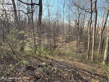 Lot 6 Tanglewood Dr, Glasgow, KY 42141