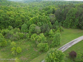 Lot 7 Duvall Rd, Caneyville, KY 42721