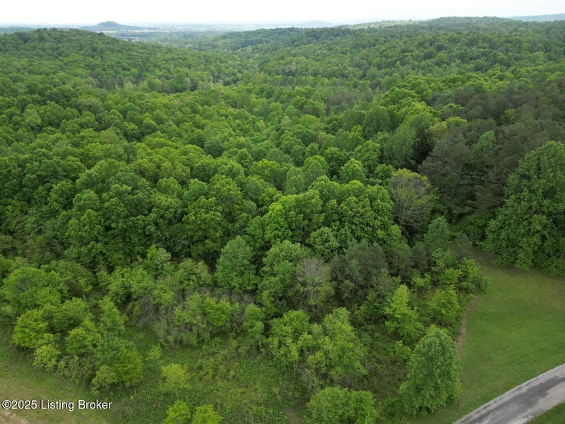 Lot 7 Duvall Rd, Caneyville, KY 42721