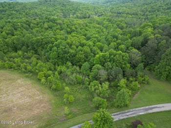 Lot 7 Duvall Rd, Caneyville, KY 42721