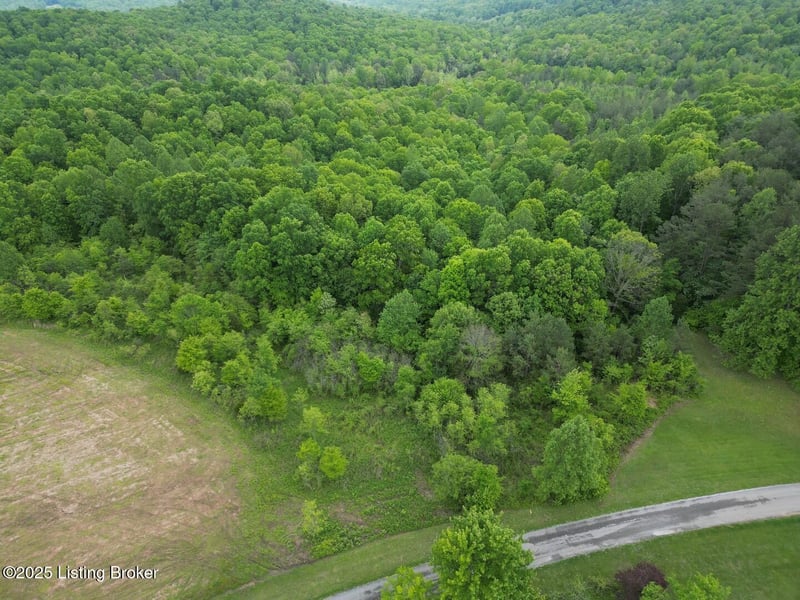 Lot 7 Duvall Rd, Caneyville, KY 42721