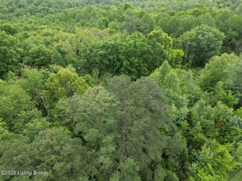 Lot 8 Duvall Rd, Caneyville, KY 42721
