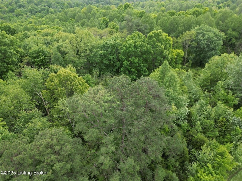 Lot 8 Duvall Rd, Caneyville, KY 42721