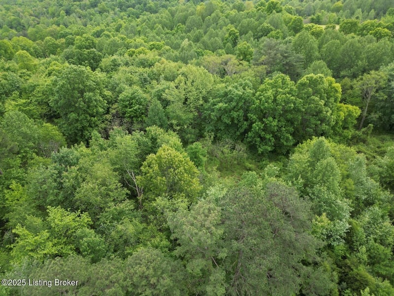 Lot 8 Duvall Rd, Caneyville, KY 42721
