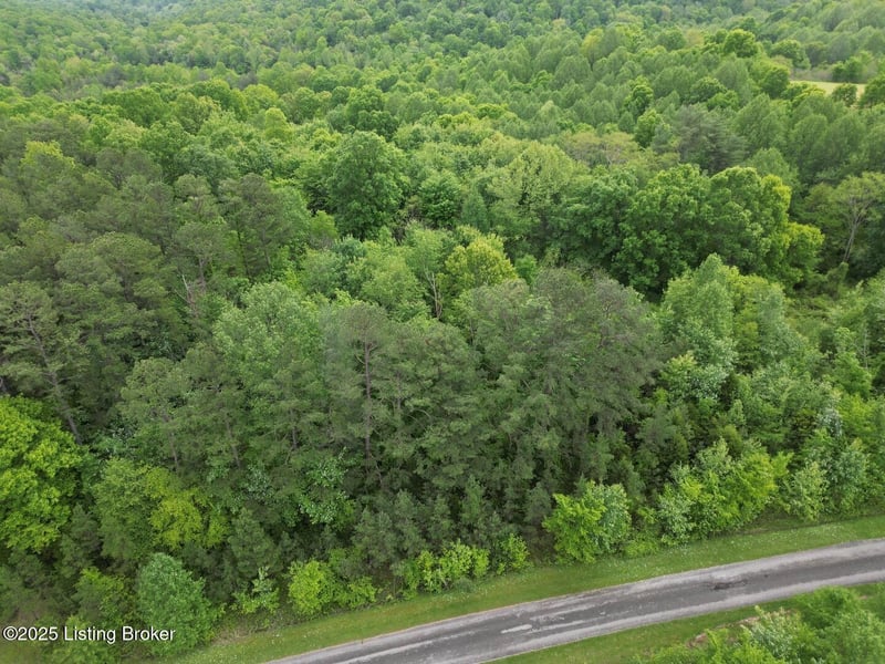 Lot 8 Duvall Rd, Caneyville, KY 42721