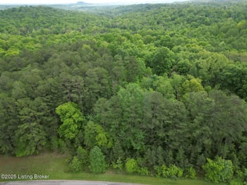 Lot 8 Duvall Rd, Caneyville, KY 42721