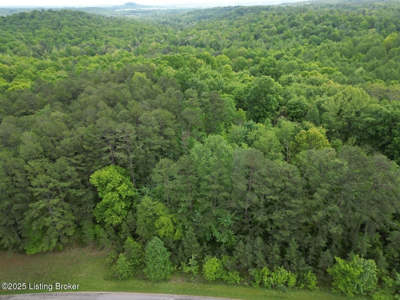 Lot 8 Duvall Rd, Caneyville, KY 42721