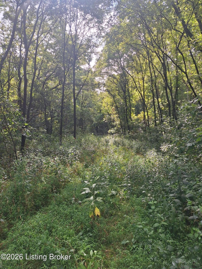 Lot 8A Rebel Ridge Rd, La Grange, KY 40031