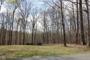 Lot Lorel Dunbar Ln, Jamestown, KY 42629