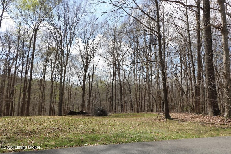 Lot Lorel Dunbar Ln, Jamestown, KY 42629