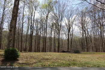 Lot Lorel Dunbar Ln, Jamestown, KY 42629