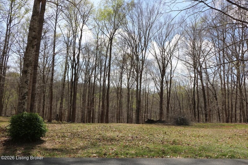 Lot Lorel Dunbar Ln, Jamestown, KY 42629