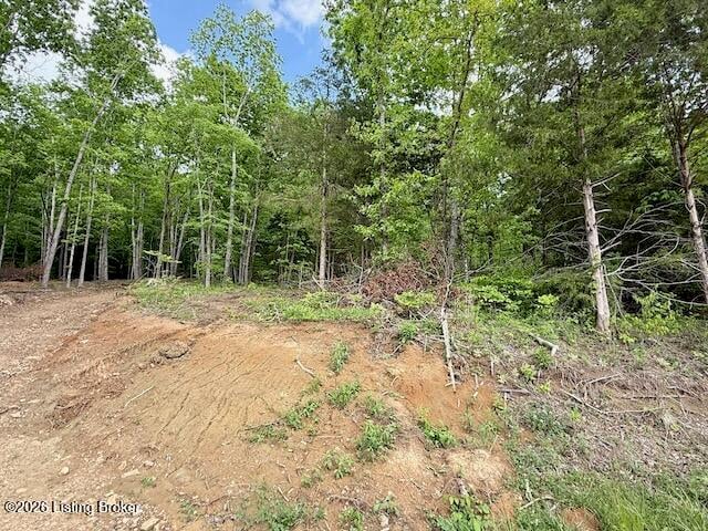 Lots 1-5 Bear Creek Rd, Leitchfield, KY 42754