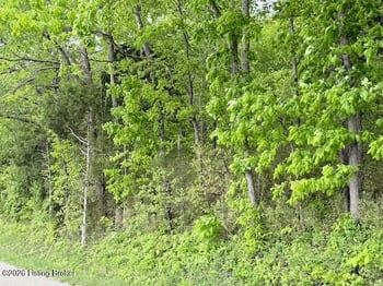 Lots 1-5 Bear Creek Rd, Leitchfield, KY 42754