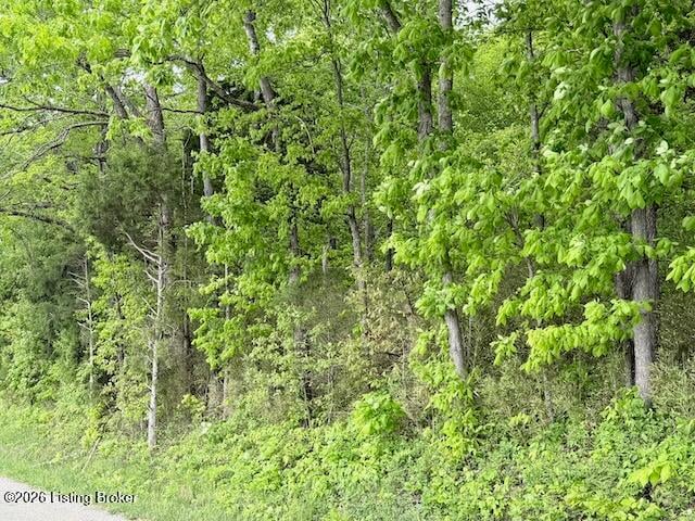 Lots 1-5 Bear Creek Rd, Leitchfield, KY 42754