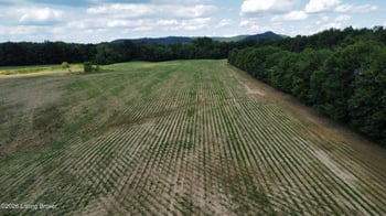 TR 10 Lower Colesburg Rd, Elizabethtown, KY 42701