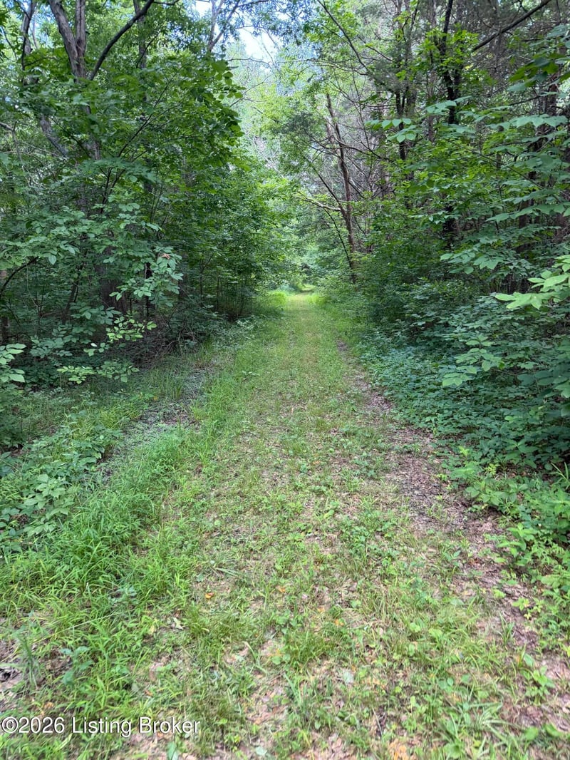 TR 10 Lower Colesburg Rd, Elizabethtown, KY 42701
