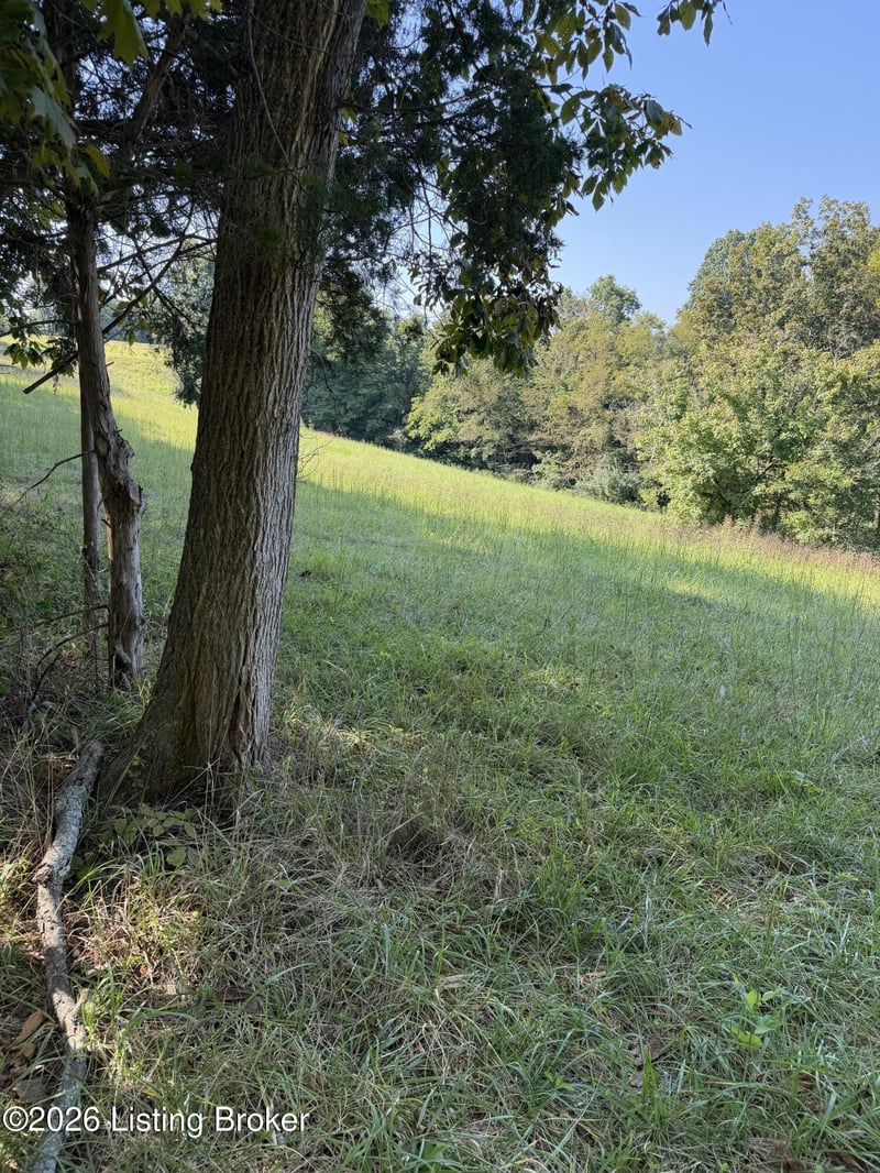 Tr 12 Samples Ln, Waddy, KY 40076
