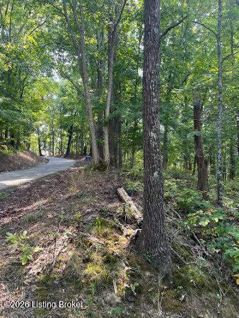 Tr 13 Samples Ln, Waddy, KY 40076
