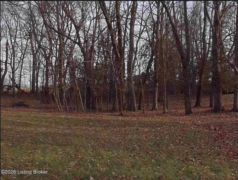TR 38 Cove Rd, Shelbyville, KY 40065