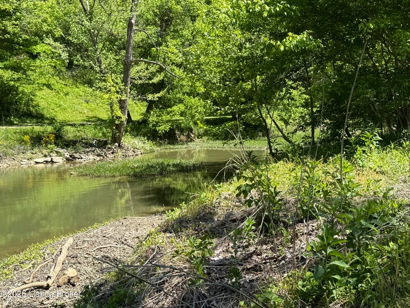 Tract 4 Pea Ridge Rd, Waddy, KY 40076
