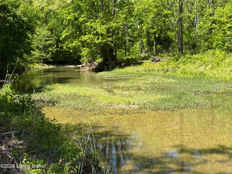 Tract 4 Pea Ridge Rd, Waddy, KY 40076