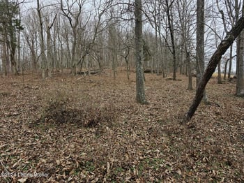 Tract 5-8 Troutman Ln, Clarkson, KY 42726
