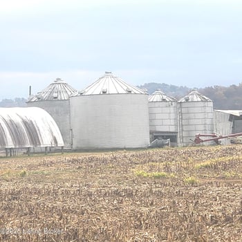 Tract 6 Walter Hall Rd, New Haven, KY 40051
