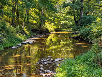 TRACT 78 - "waterfall" Lot @ Stallard Sp, Shelbyville, KY 40065