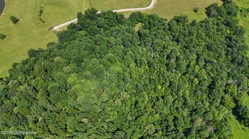 Tract 8 Troutman Ln, Clarkson, KY 42726