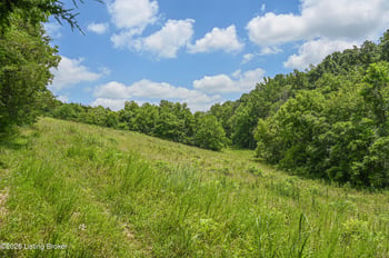 TRACT D Bowman Ln, Taylorsville, KY 40071