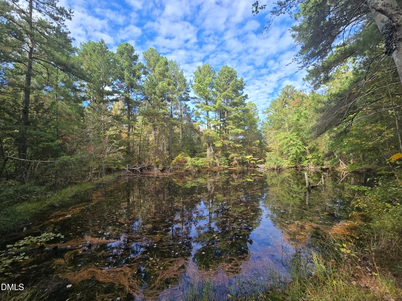 0 Bass Mountain Lot 3, Snow Camp, NC 27349