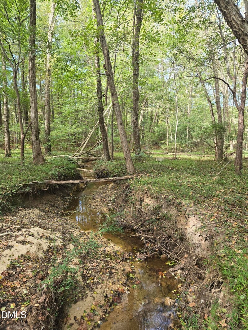 0 Bass Mountain Lot 3, Snow Camp, NC 27349