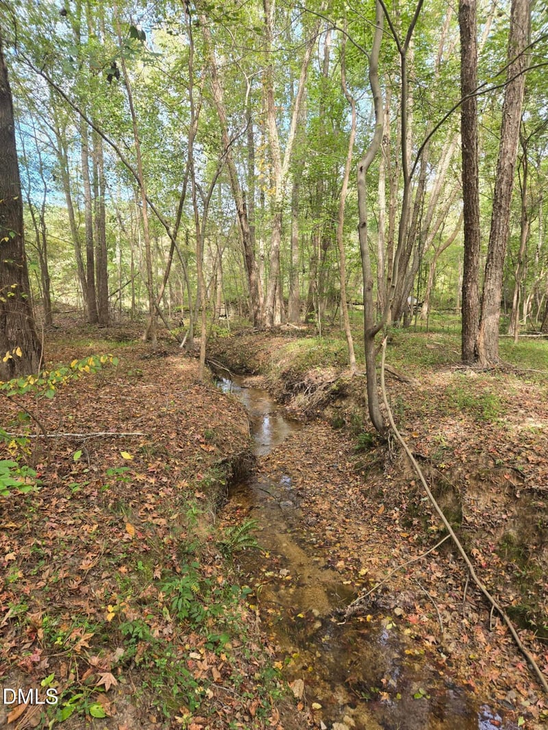 0 Bass Mountain Lot 3, Snow Camp, NC 27349