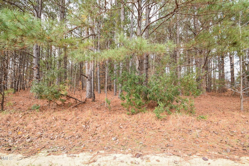 0 Bob Lee Ln Lot 3, Dunn, NC 28334