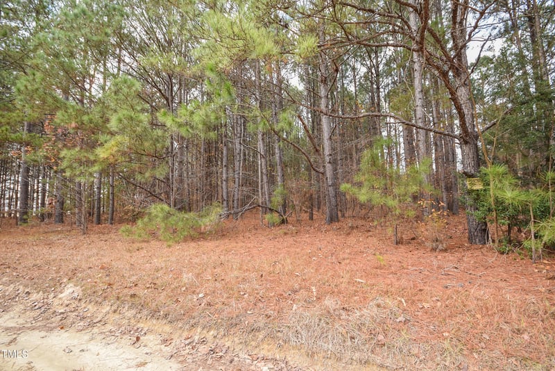 0 Bob Lee Ln Lot 3, Dunn, NC 28334